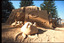 Sand sculptures at exhibition in Cronulla