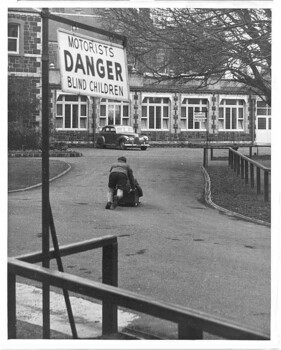 Children moving a billy cart up the driveway