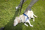 SEDA graduate Davo taking a break on the grass