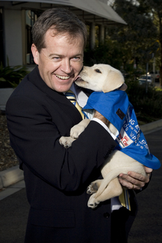 Bill Shorten holding a SEDA puppy