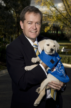 Bill Shorten holding a SEDA puppy