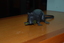 Black rat creature with yellow whiskers