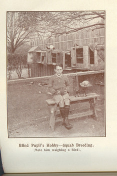 Boy holding bird - not used in book