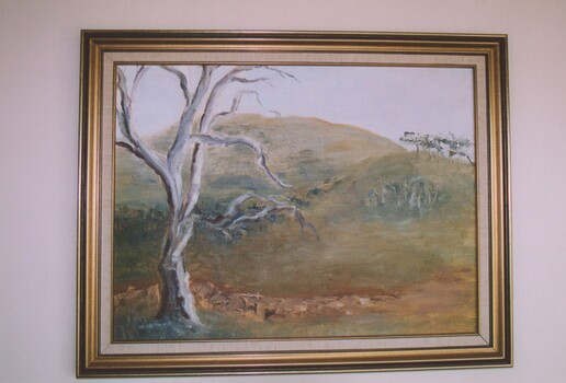 Inventory item at Ballarat Nursing Home