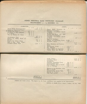 Balance sheet showing assets and liabilities of the Institution