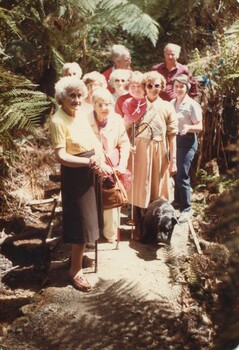 Group of people on a bushwalk