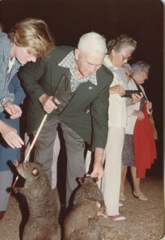 Night walk to Steavenson Falls to feed possums