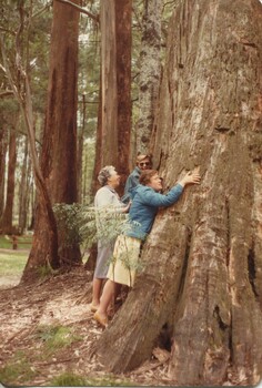 How do you measure a tree when you cannot see - hug it!