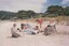 Enjoying the sun at the beach near Lorne
