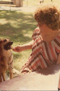 A woman feeds a German Shepherd at the luncheon