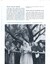 Report of the committee on activities and achievements