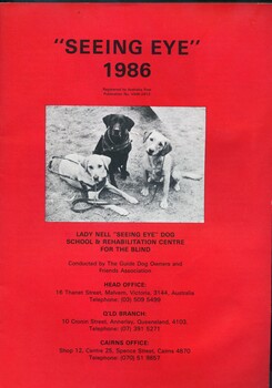 Three dogs in harness looking upwards towards photographer