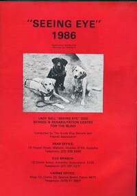 Three dogs in harness looking upwards towards photographer