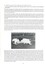 Press release on timeline, communications and actions concerning Peter Filgate and Sheba
