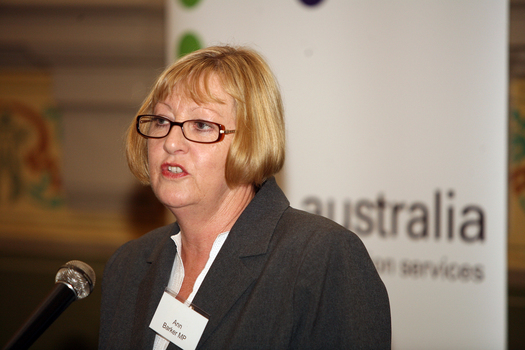 MP Ann Barker addressing the audience