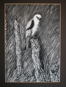 Drawing, Ron Walker, 'Black Hawk' by Ronald Walker, c1991