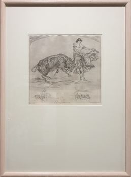 A bullfighter
