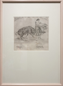A bullfighter