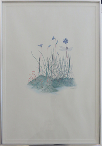 Printmaking, 'Native flowers with Dragonfly', Jenny Nolan, 1977