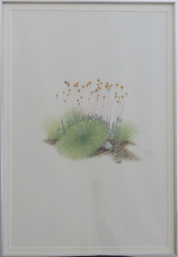 Artwork, 'Native Flowers Plus Butterfly' by Jenny Nolan, c1977