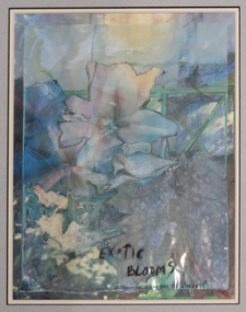 Work on paper - Mixed Media, Antonelli, Josephine, 'Exotic Blooms' by Josephine Antonelli, 1991