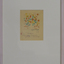 Framed texta drawing of flowers