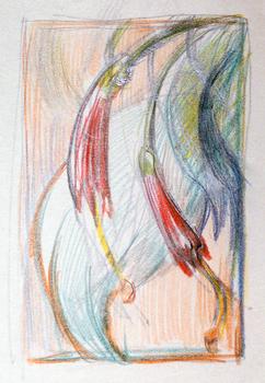 Drawing of a flower