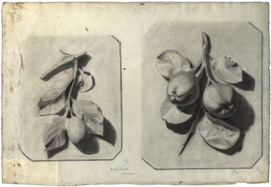 Drawing, Drawing From Plaster Casts 'Fruit' by Evelyn Lamb, 10/1901