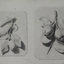Drawing a fruit