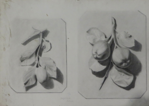 Drawing a fruit