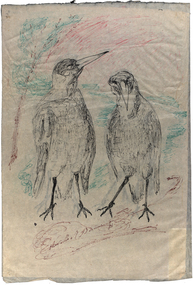 Ink on Paper, Neville Bunning, 'Two Magpies' by Neville Bunning