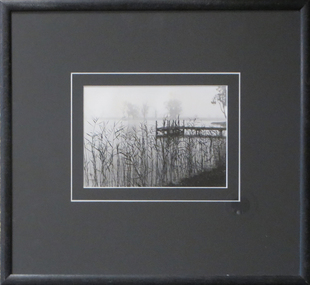 Photograph, 'Wimmera Winter' by Anne Taylor, c1996
