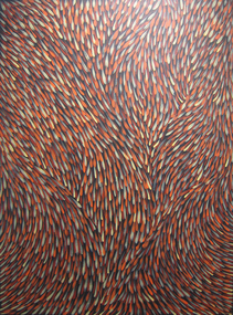 An abstract Aboriginal artwork depicting bush medicine 
