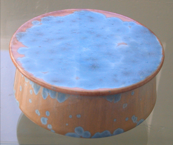 Ceramic, Asker, Coralee et al, 'Lidded Pot' by Coralee Asker, 2007