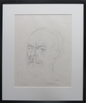 sketched portrait