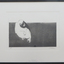 Etching of a chimpazee