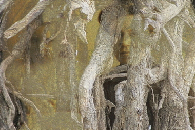 Artwork, other - Artwork, Groothuis, Marijke, 'Ancestry' by Marijke Groothuis, 2009