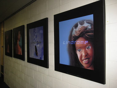 Artwork, 'Cindrome'