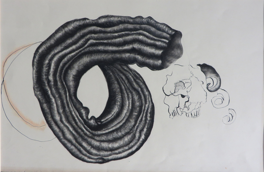 drawing