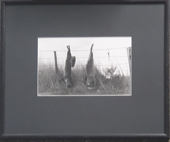 Photograph, Nichols, Karyl, 'Hanging Around' by Karyl Nichols, 1990