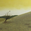 A man and a house float in a golden landscape