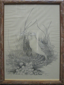 Lithograph, Earl Ingleby, Egret