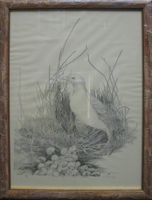 Lithograph, Earl Ingleby, Egret
