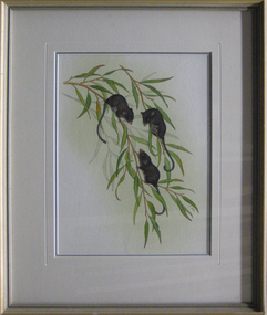 Watercolour, 'Feathertail Gliders' by Lynne Cooke