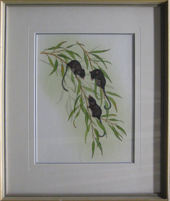 Watercolour, 'Feathertail Gliders' by Lynne Cooke