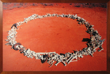 Artwork, other - Print - large format, Michael Shiell, 'Bone Circle - Documentation' by Michael Shiell, 2001