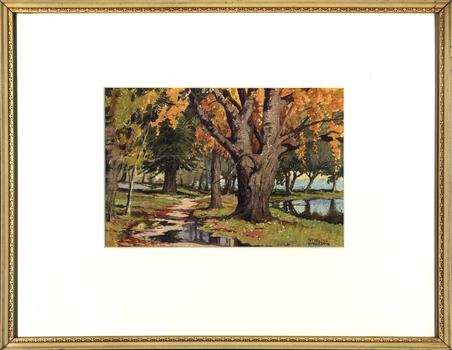 Lakeside landscape