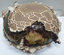 Sculptural ceramic piece