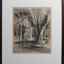 treed landscape