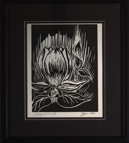 Print - Artwork - Printmaking, Magnolia, 2001